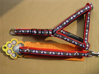 pet harness &leash